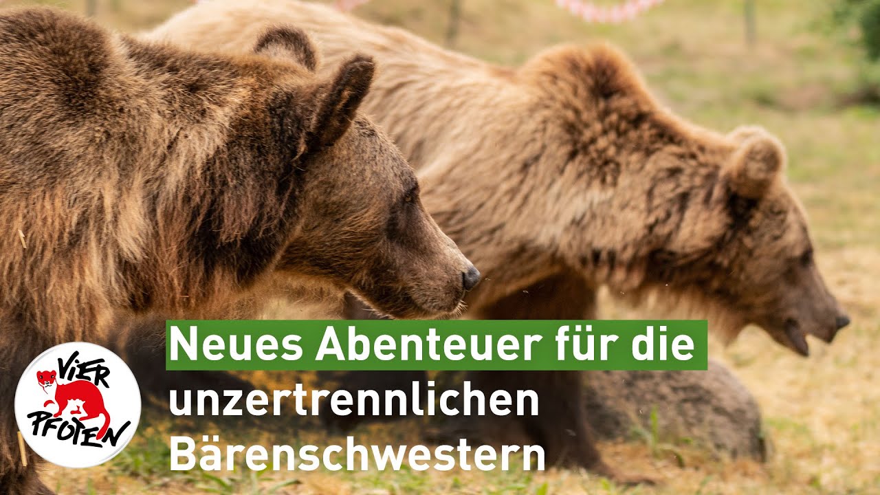 Neues Abenteuer für Lelya und Dasha | VIER PFOTEN
