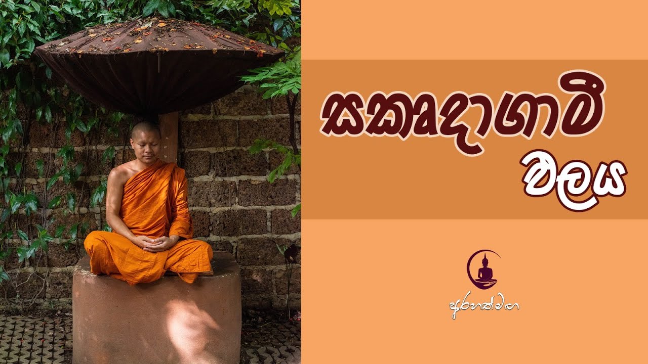 සකෘදාගාමි ඵලය. @mahaguru90 #desana #niwanmaga
