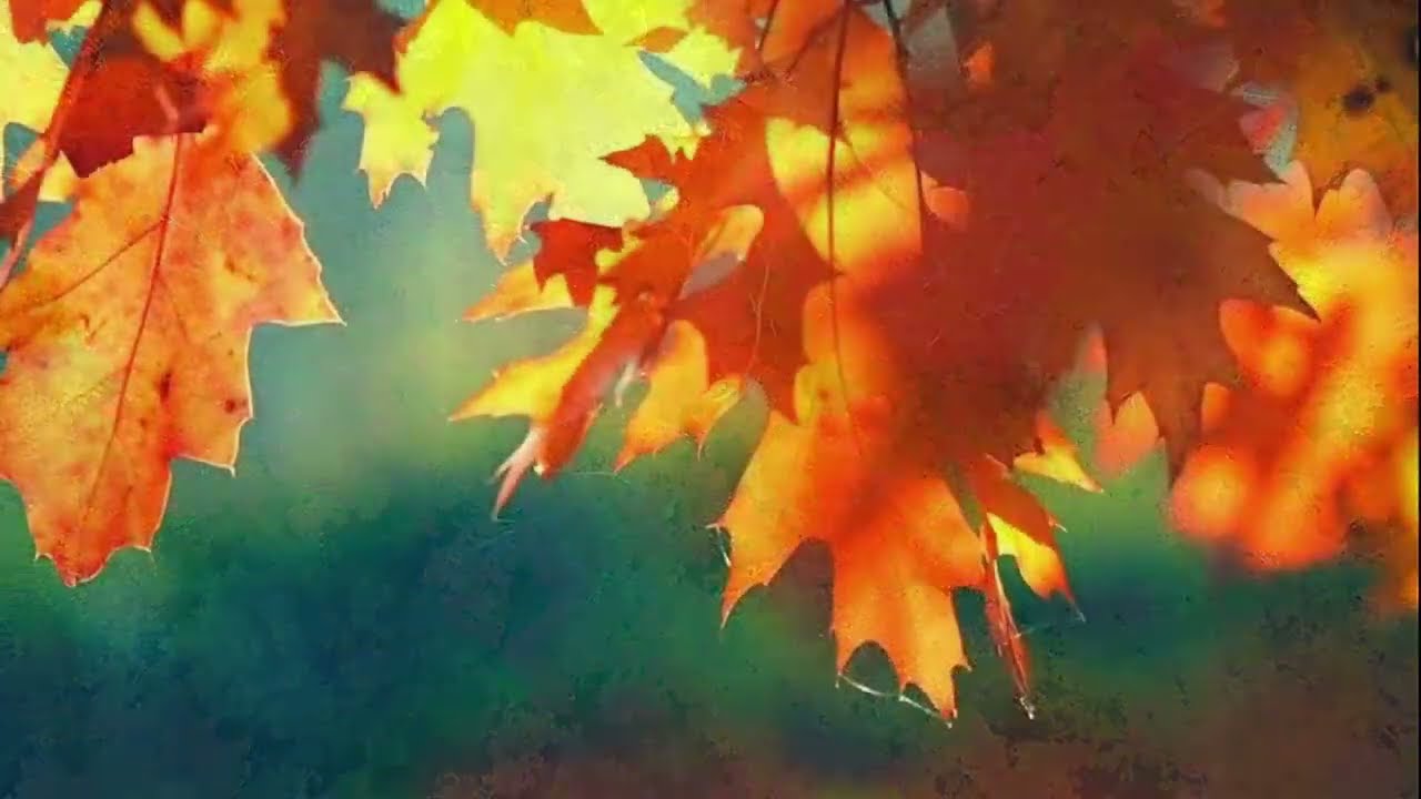 AUTUMN LEAVES   עלי שלכת