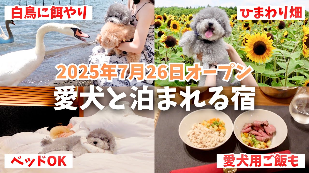 2025年7月26日オープン！まだ間に合う夏旅行🌻【レジーナリゾート山中湖＠山梨県】