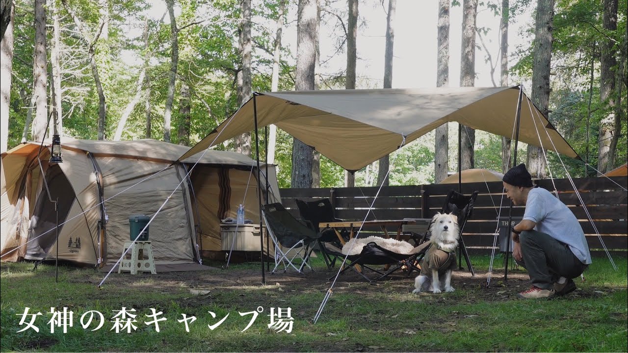 【犬とキャンプ】味覚で季節を感じる秋キャンプ🍂｜女神の森キャンプ場