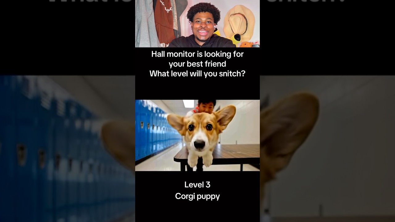 Which one are you Picking?😳 #shorts #funny #relatable