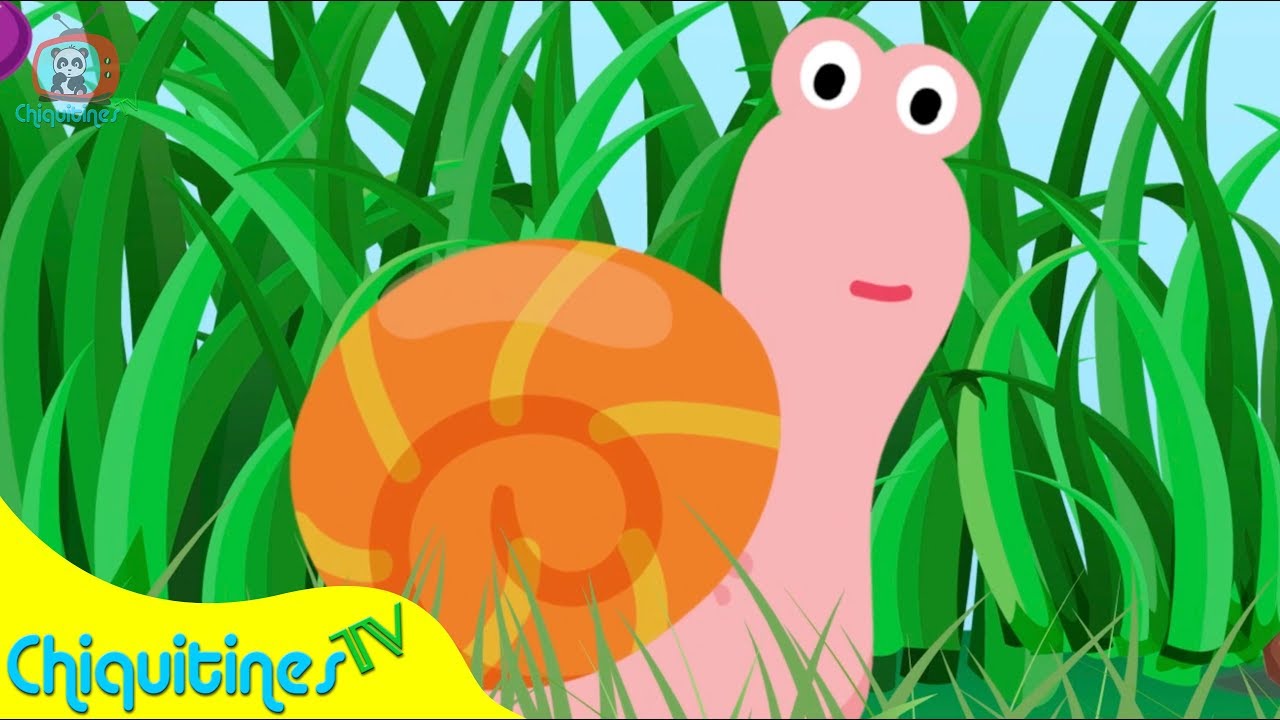 Caracol Caracolito - Canción Infantil
