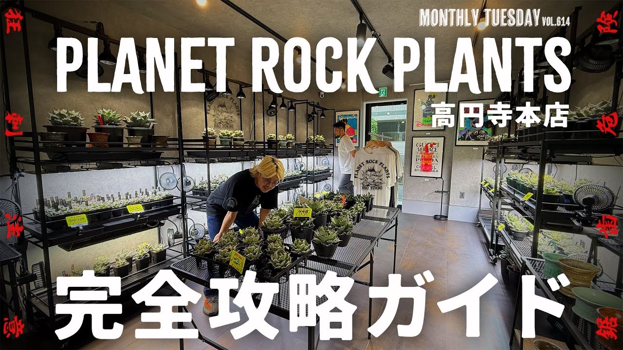 【園芸店巡り】アガベとカルチャーの聖地！PLANET ROCK PLANTS高円寺本店、完全攻略ガイド！！