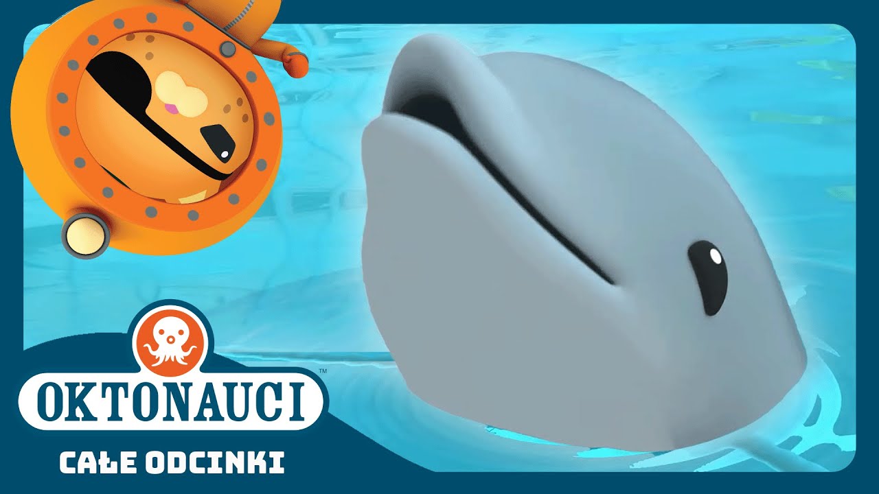 Oktonauci - 🥰 i delfiniątko 🐬 | Cały odcinek 8 | Seria 1