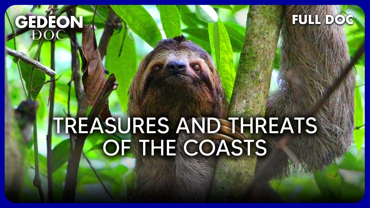 Saving the Amazon Wildlife: The Great Flood Rescue | Full Nature Documentary