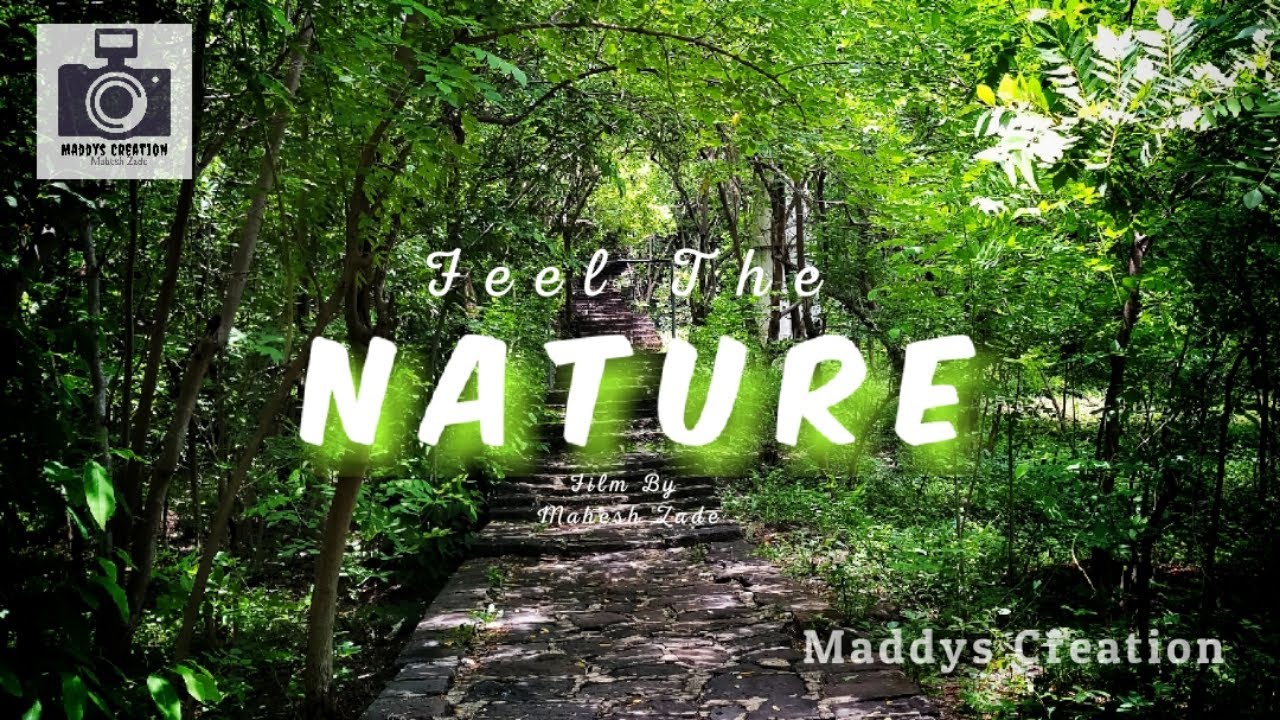 Nature Cinematic Film.Nature Cinematography/Nature Video Nature Short Film  Nature Cinematic Video