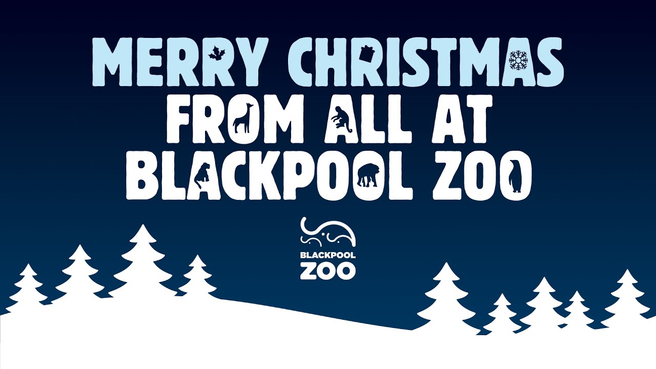Merry Christmas from all at Blackpool Zoo