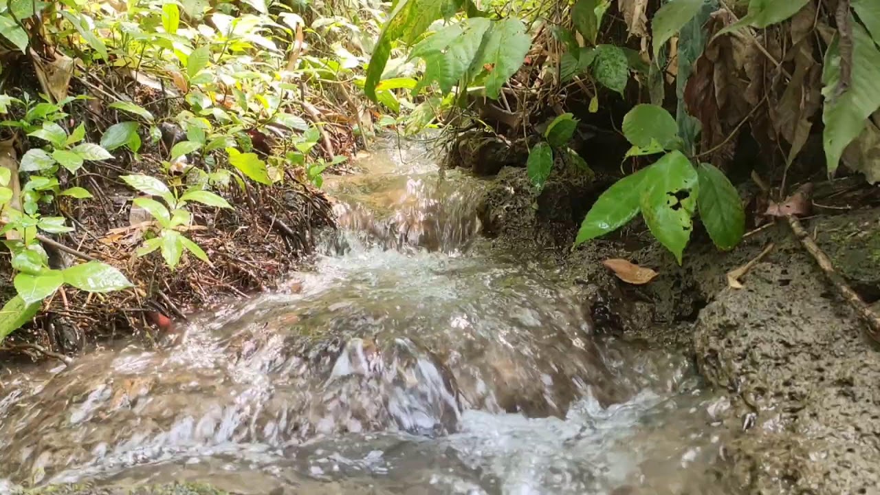 Healing River Ambience – Calm River Sounds with White Noise for Stress Relief
