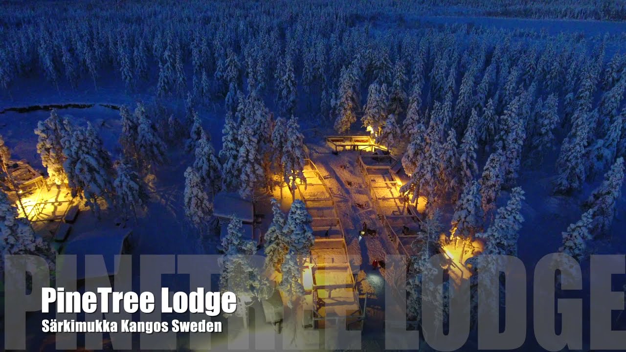 Pinetree Lodge Lapland