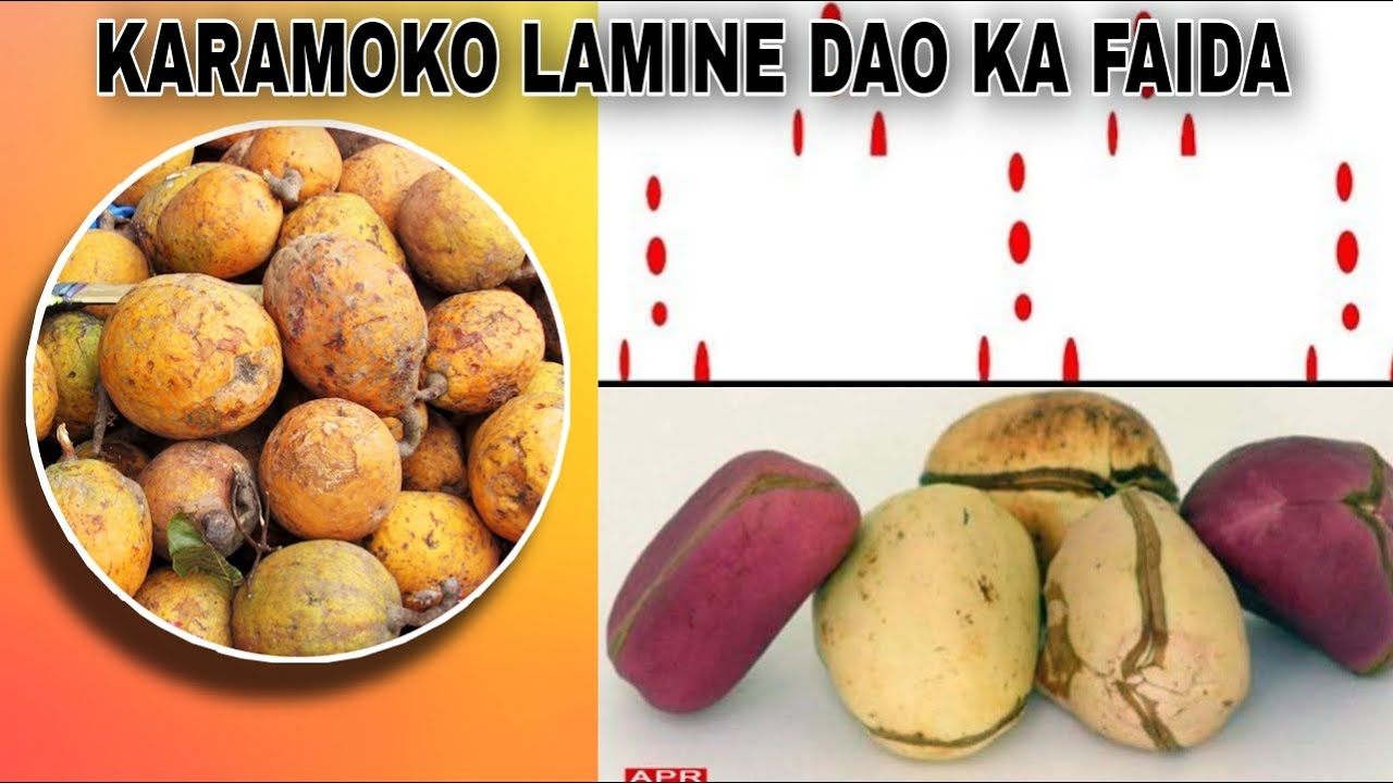 KARAMOKO LAMINE DAO KA FAIDA (Thème) Cola - Zaban  - Latourou