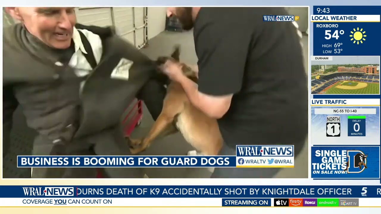 One business that is booming? The Guard Dog Business