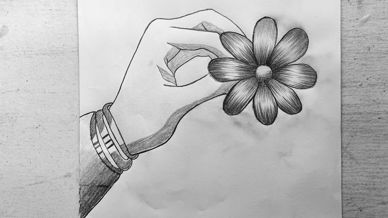 Pencil sketch || Flower drawing 