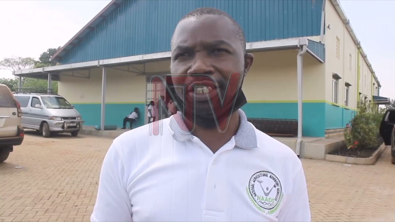 PINEAPPLE VALUE ADDITION: 2.1b factory ready in a month