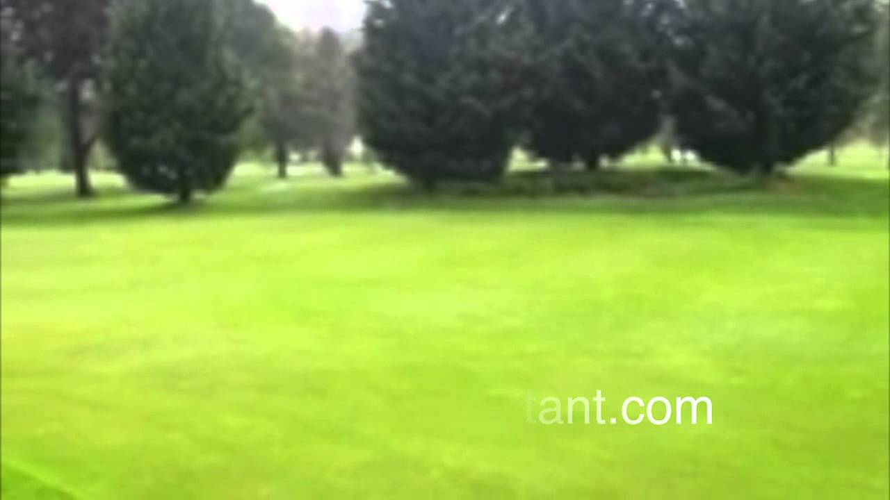 WET GOLF GREENS with SOIL WETTING AGENTS