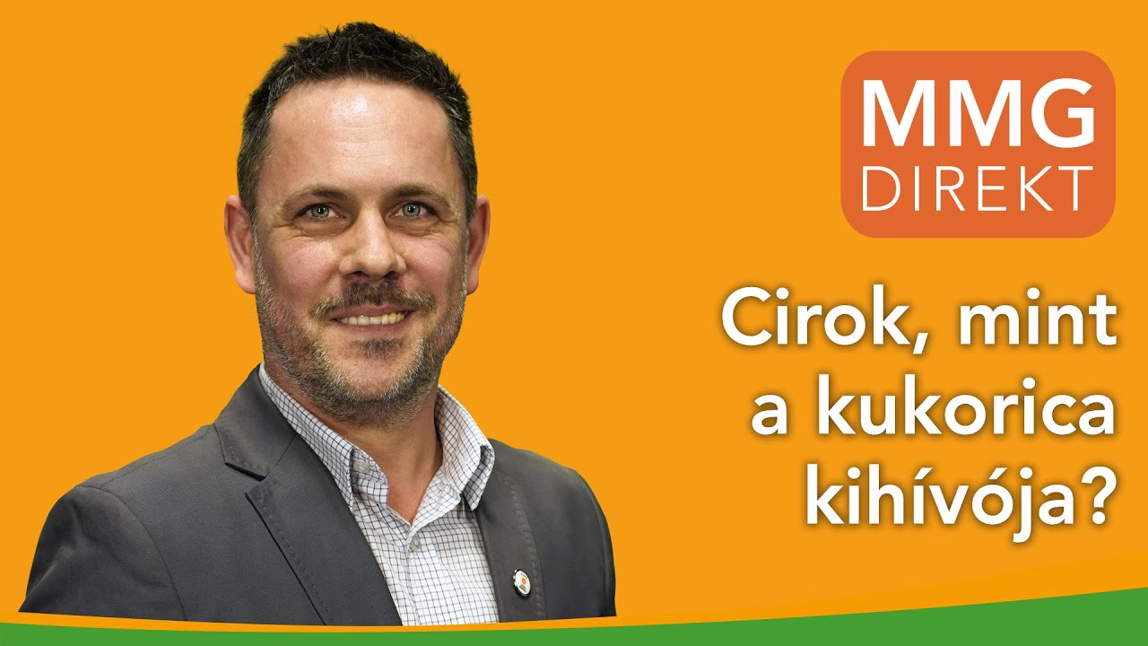 Gluténmentes cirokcipó vagy cirok takarmányként – ez a jövő? | Pintér János, KWS | MMG-Direkt