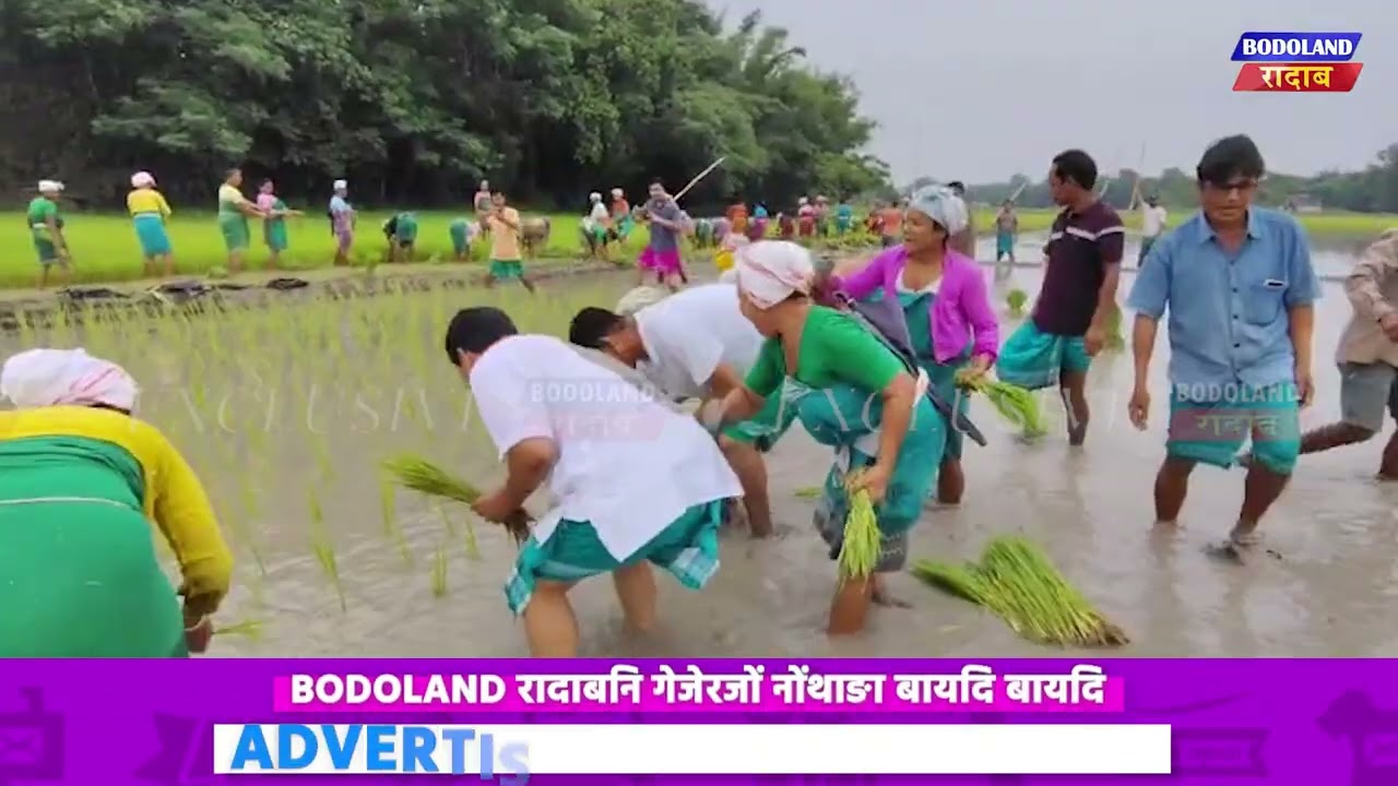 BODOLAND RADAB