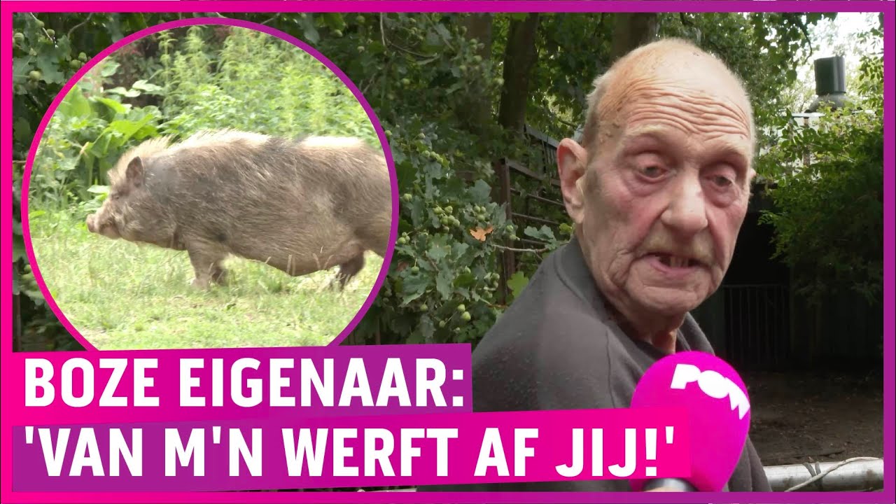W&eacute;&eacute;r paarden ernstig mishandeld in Brabant: 'Ze pakken mijn plezier af!'