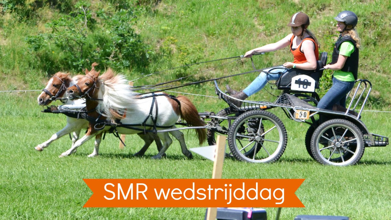 Vlog #13 Shetland Menritten Wedstrijddag | Vilaro