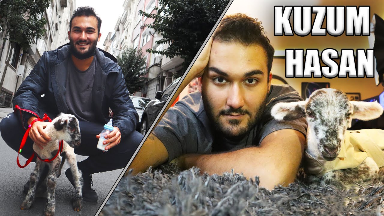 YENİ EVCİL HAYVANIM KUZU HASAN!