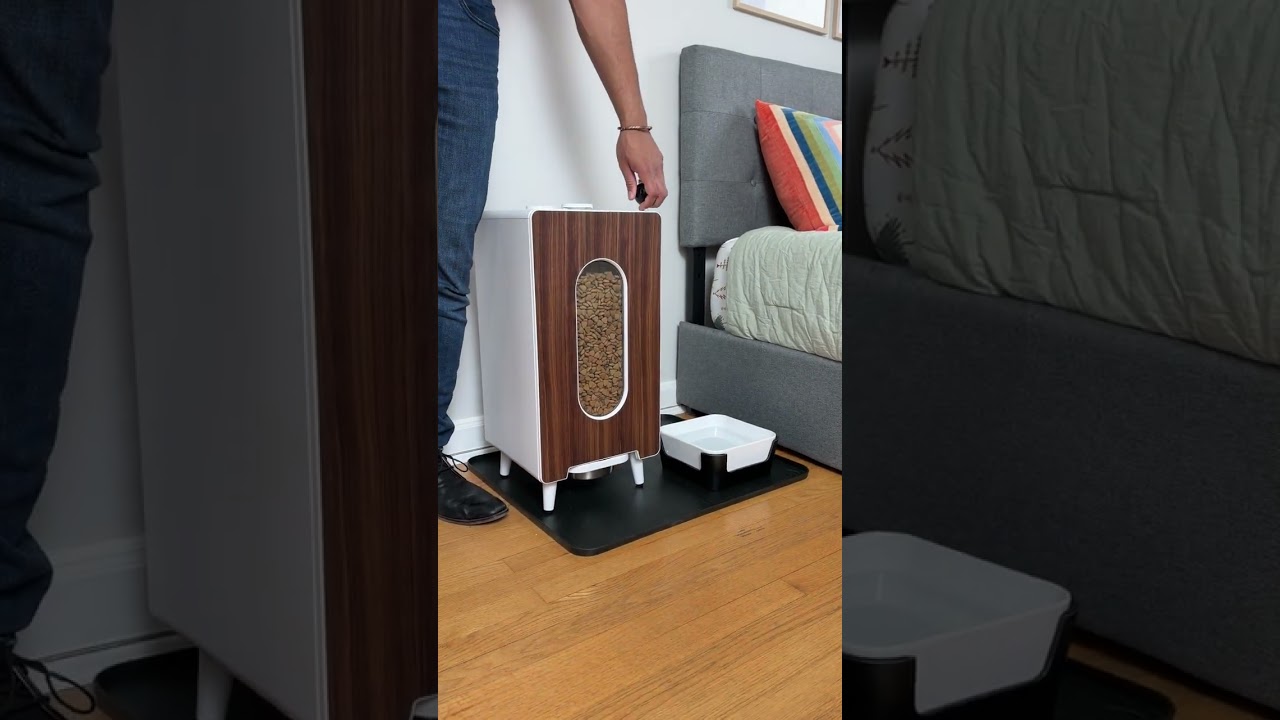 Modern Dog Feeder