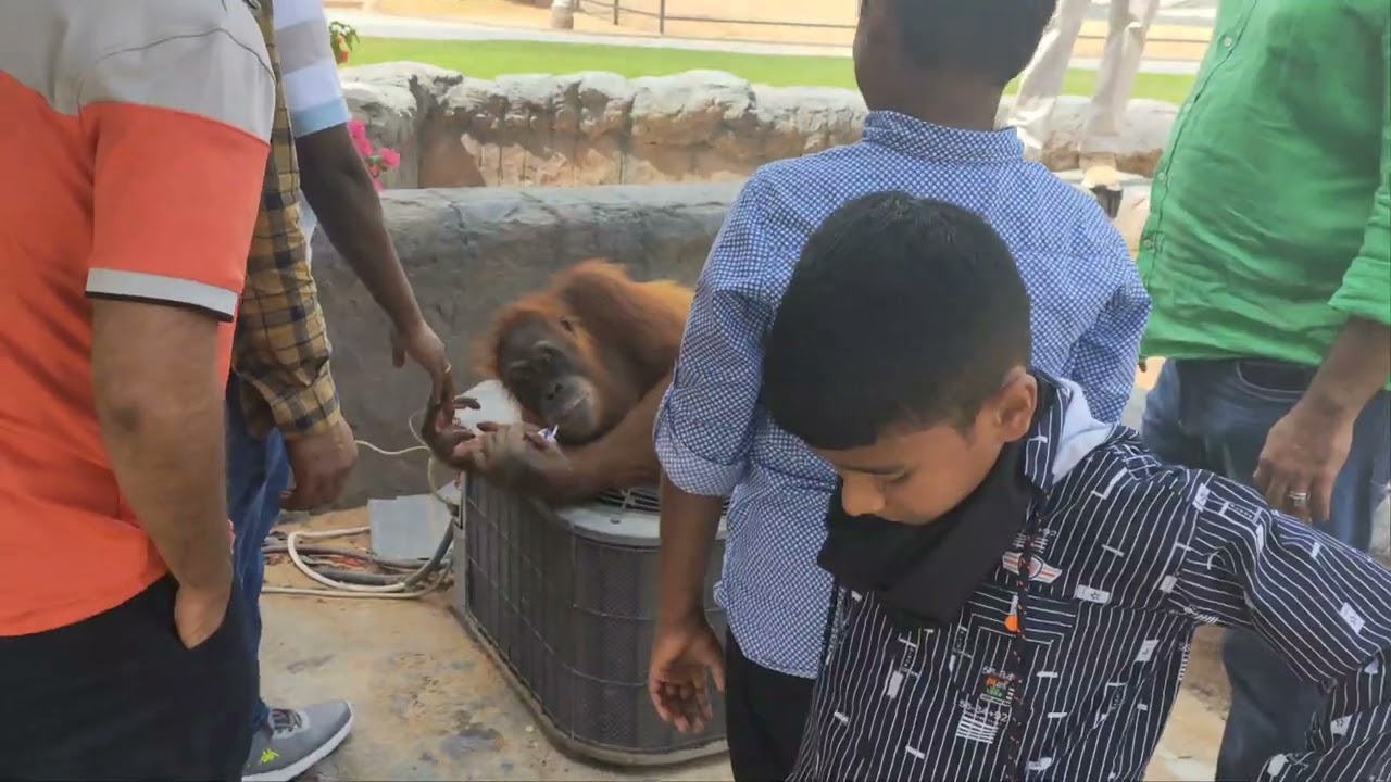 Ummal Quwain Zoo during March 2022