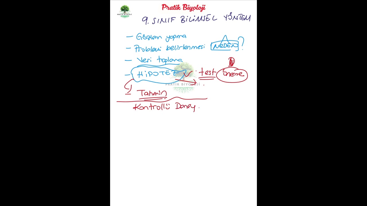 9. Sınıf Maarif Model Bilimsel Y&ouml;ntem Basamakları Kısa Pratik &Ouml;zet #biyolojipratik #yksbiyoloji