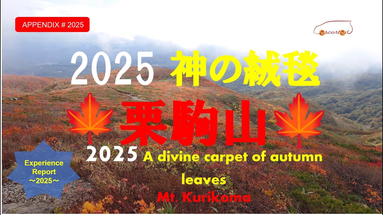 圧倒　神秘的　神の絨毯　栗駒山2025　秋 ！《Appendix2025》Mysterious Carpet of God Mt. Kurikoma 2025 Autumn！
