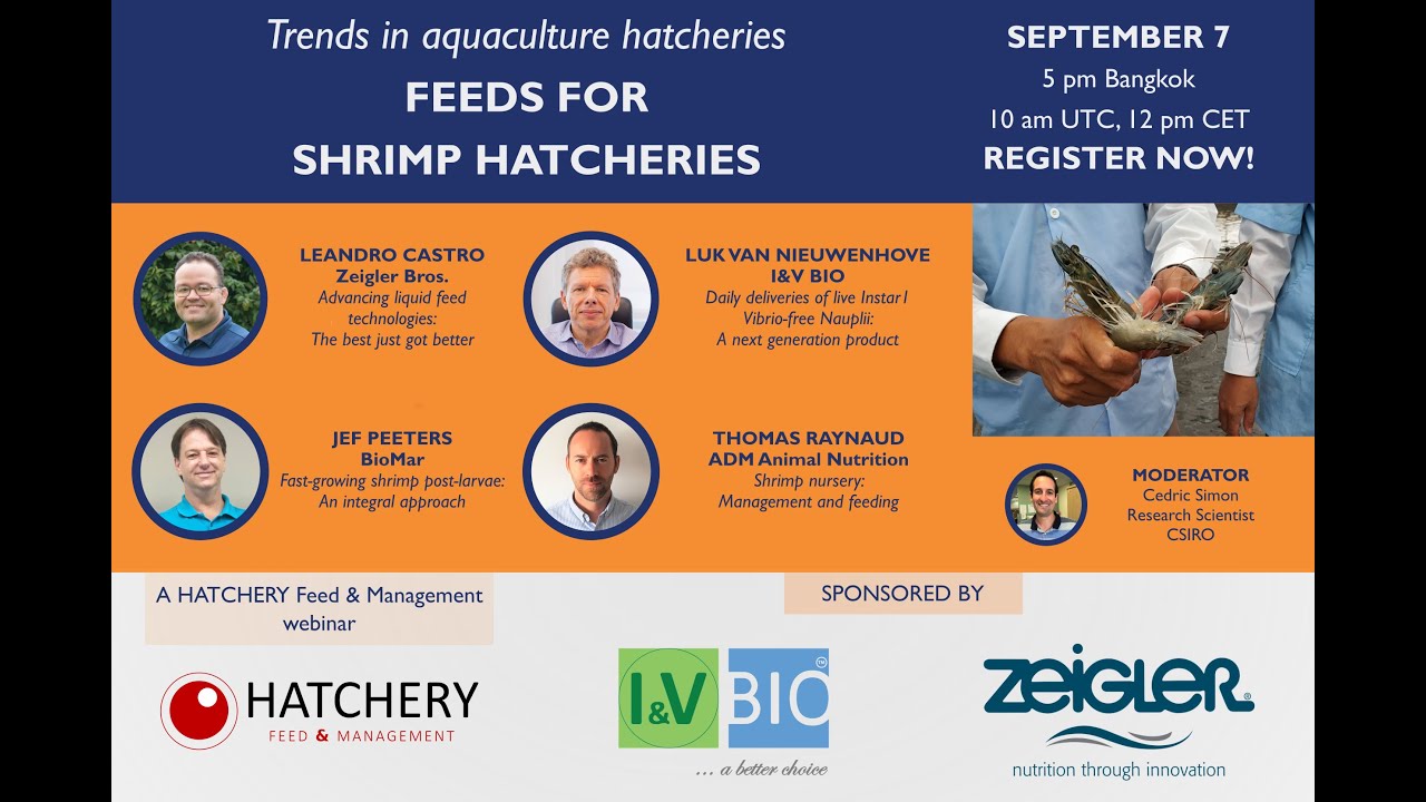 Trends in aquaculture hatcheries: Feeds for shrimp hatcheries