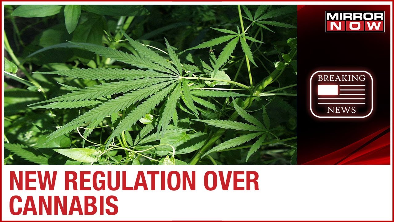United Nation decides to reclassify Cannabis, Move to change the way in regulation