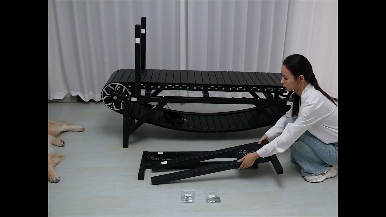 Dog Treadmill Installation