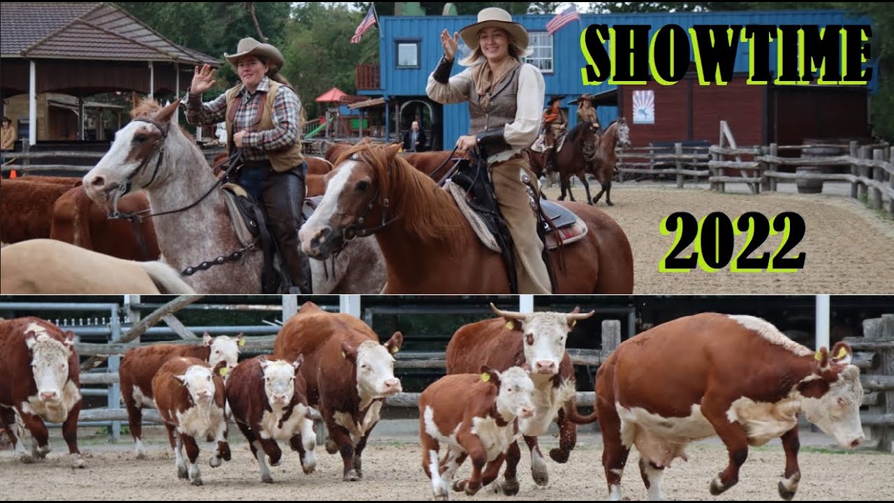Cowboyshow 2022 ♥ Ponyparkcity - Hereford koeien en western paarden door teamlid Taylor !!
