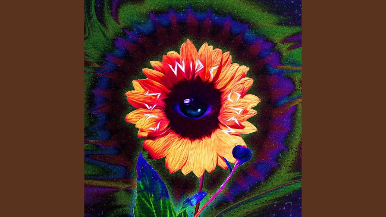 Eyes Wide Open