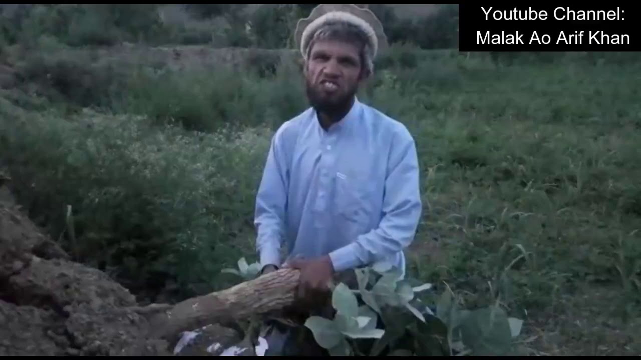 Jalat Khan Boti Aubasi Ko Chall Na Warzii