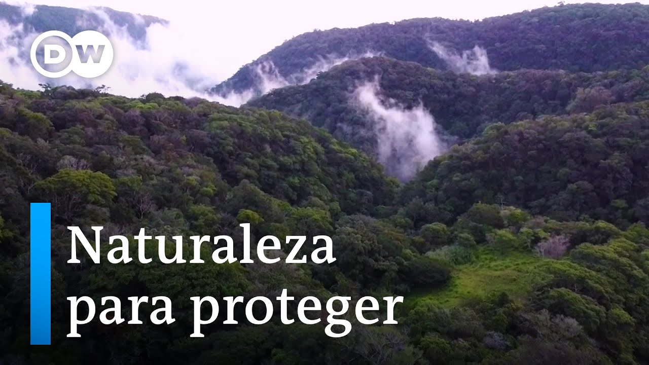 Eco Latinoamérica: De quetzales, selvas y ríos