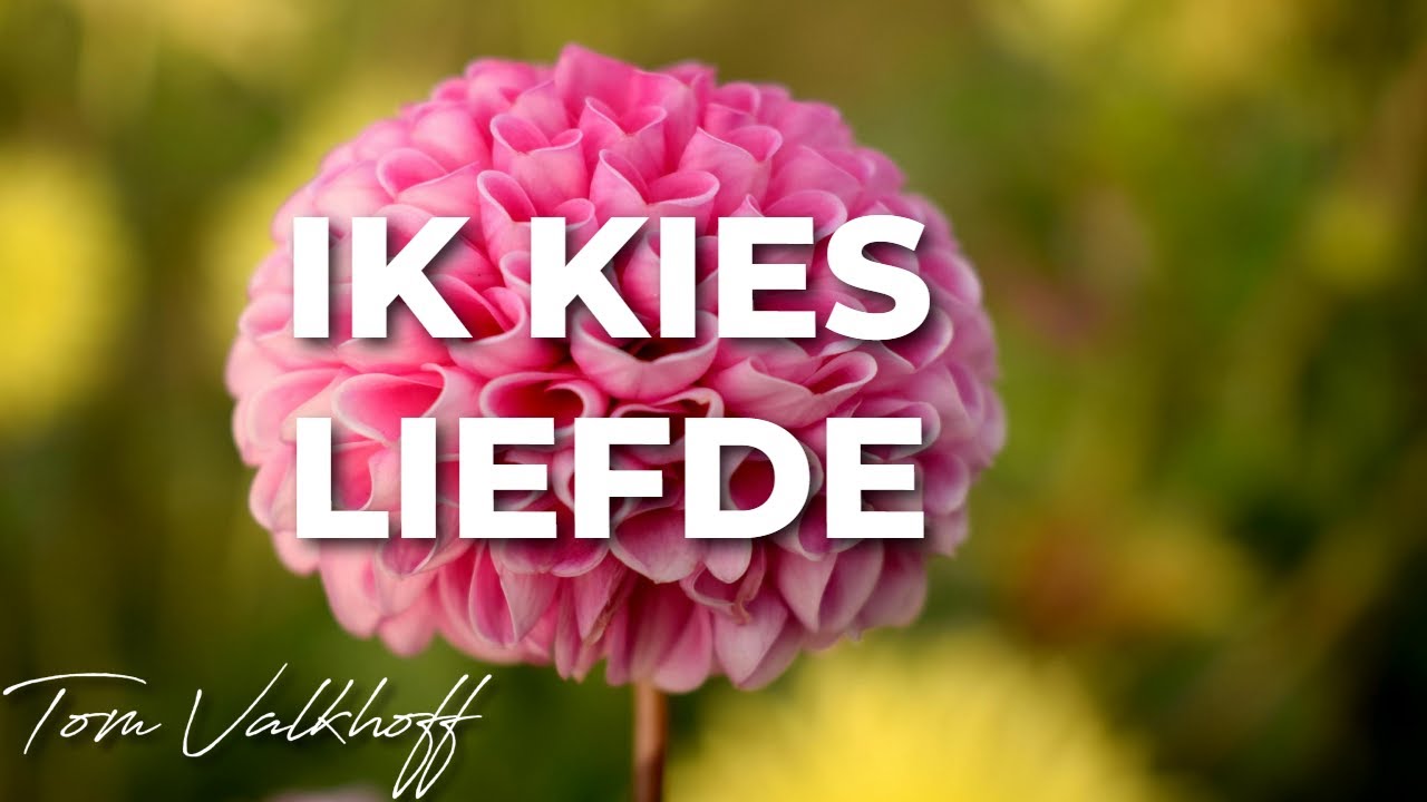 💕 Liefde Affirmaties voor Overvloed & Geluk | 8 UUR Rust & Positieve Energie - Tom Valkhoff