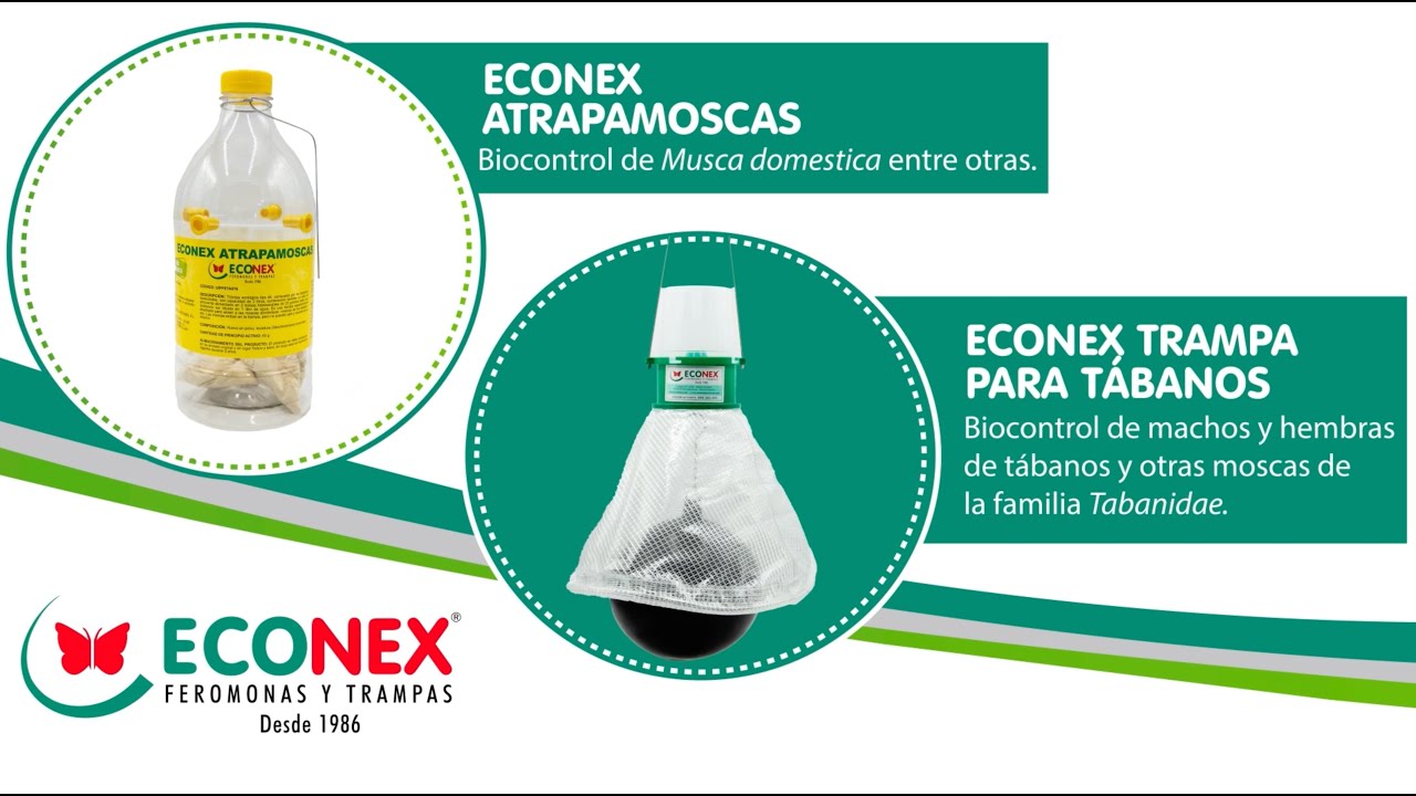 ECONEX ATRAPAMOSCAS Y ECONEX TRAMPA PARA TABANOS