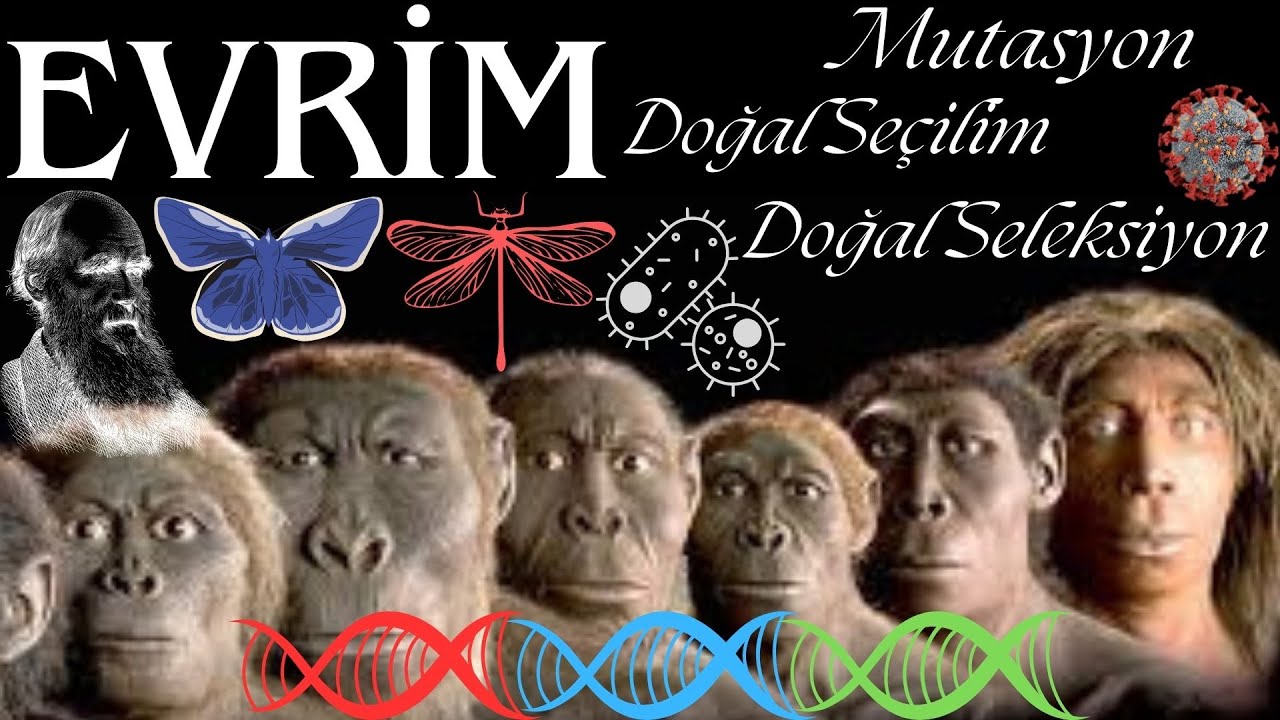 Evrim, Doğal Se&ccedil;ilim/Doğal Seleksiyon/Mutasyon - (Sesli Kitap)
