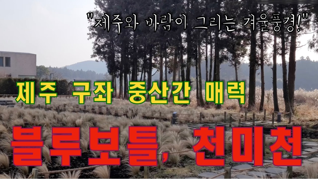 퇴미중 - 제주 구좌 블루보틀 천미천 - 바람과 제주가 그리는 겨울풍경