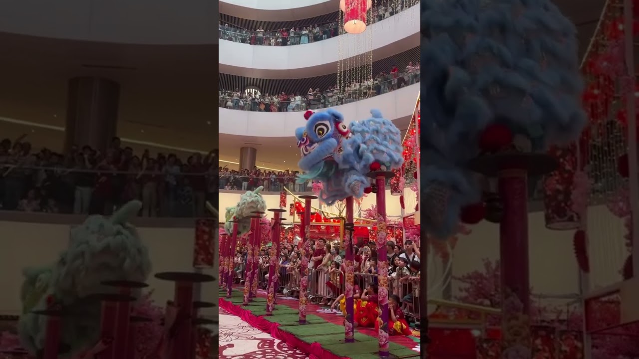 CNY 2026 Day 2 初二  Acrobatic Lion Dance by 马来西亚龙的传人 Malaysia LDCR 18 February 2026