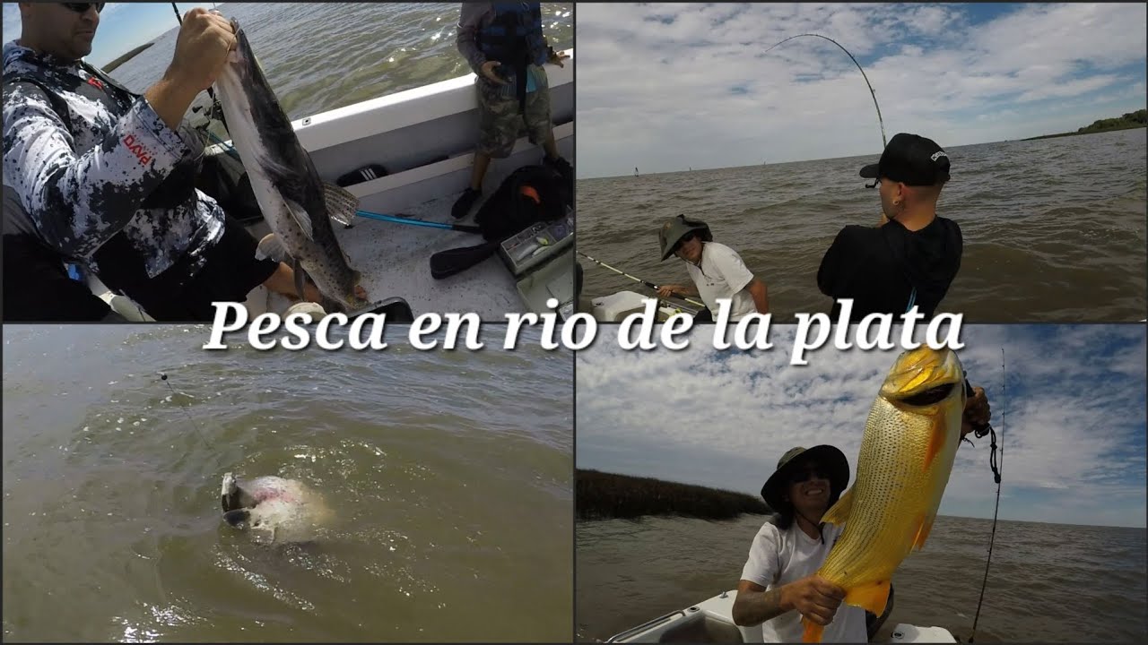 Pesca en rio de la plata, dorado, surubi, raya gigante 🎣