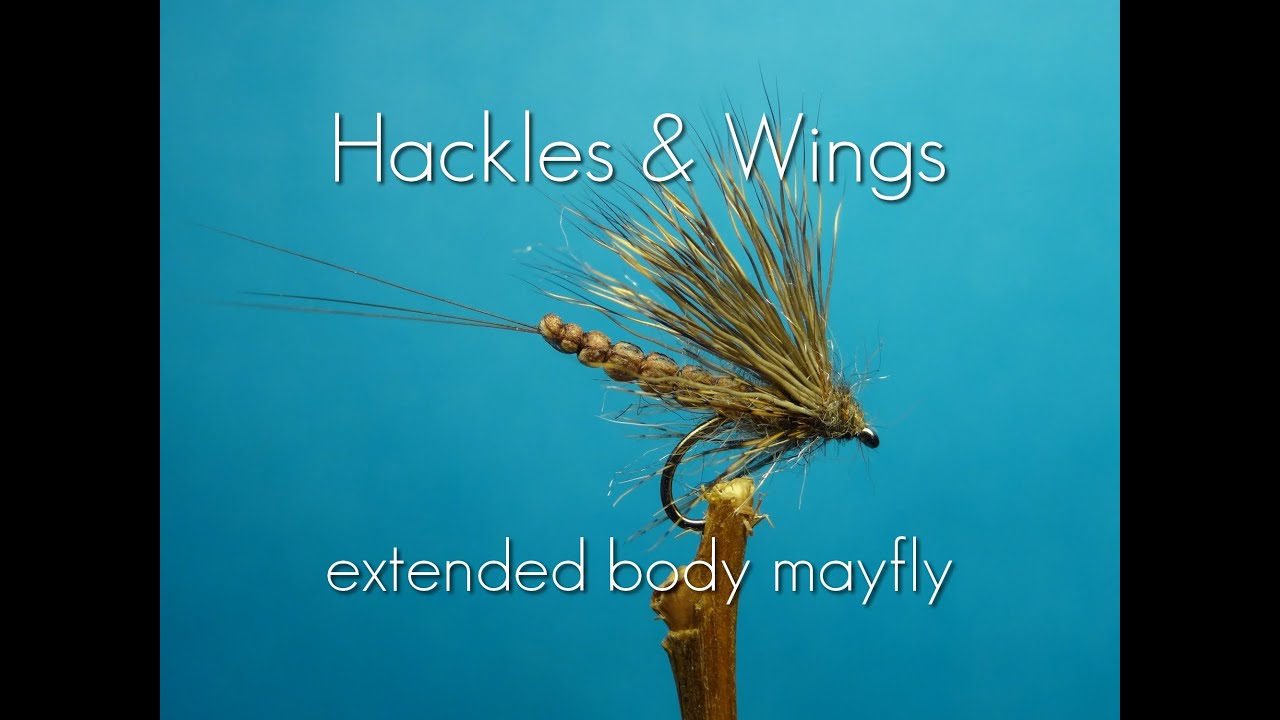 Fly Tying Extended Body Mayfly