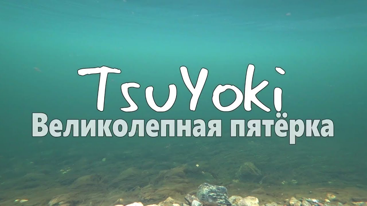 Underwater video TsuYoki Великолепная пятёрка! Реальная рыбалка