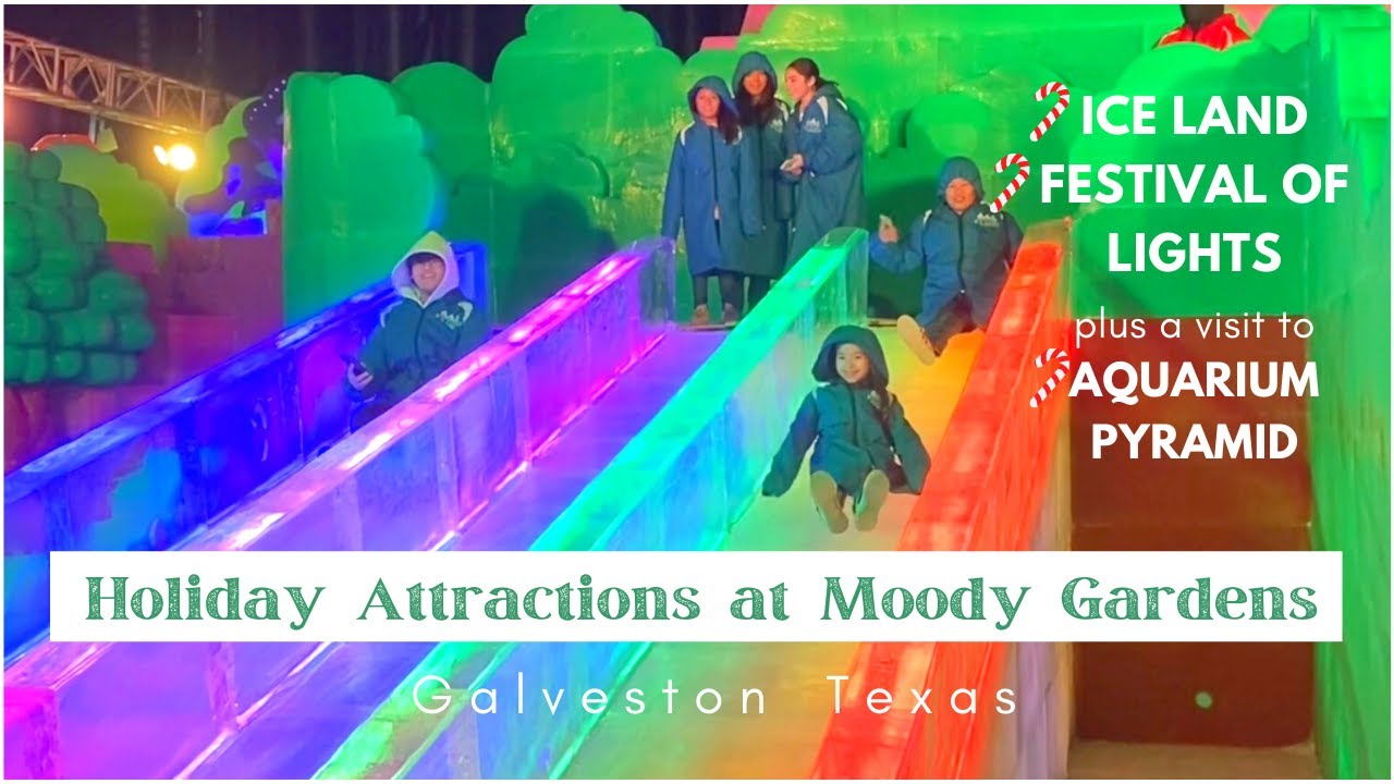 MOODY GARDENS Holiday Attractions! Festival of Lights, Ice Land plus Aquarium  | Christmas 2023