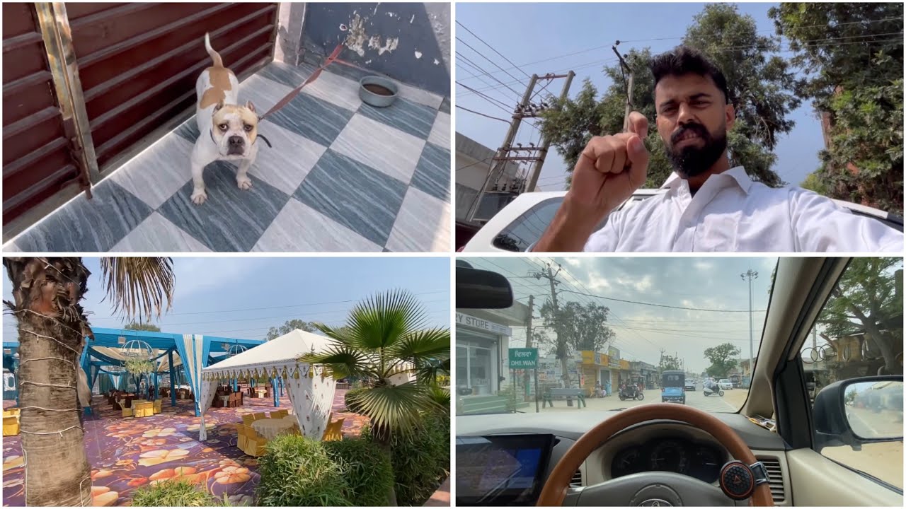 Marriage’ I m lazy and I started vlog…
