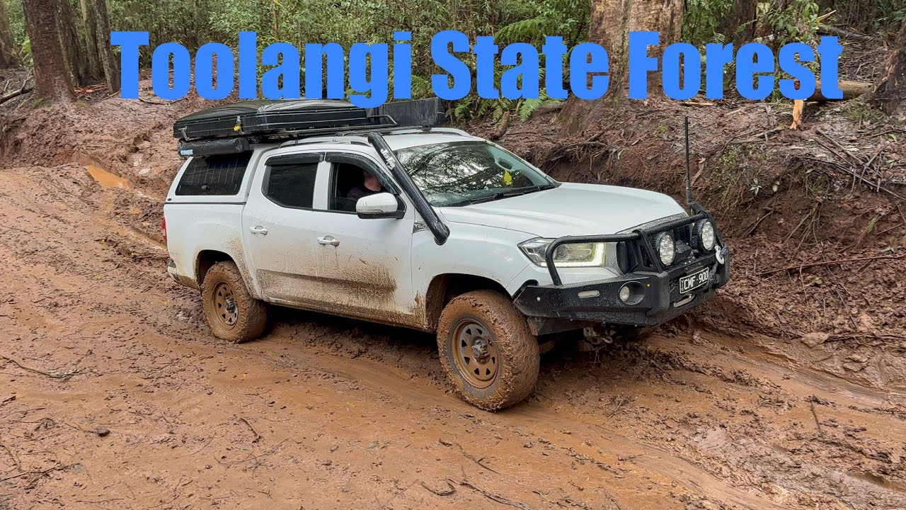 A day trip adventure in Toolangi 