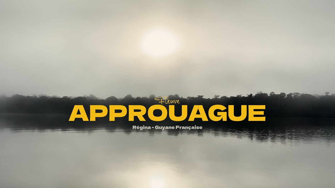 La pêche au Wassaï à Régina (Guyane française)