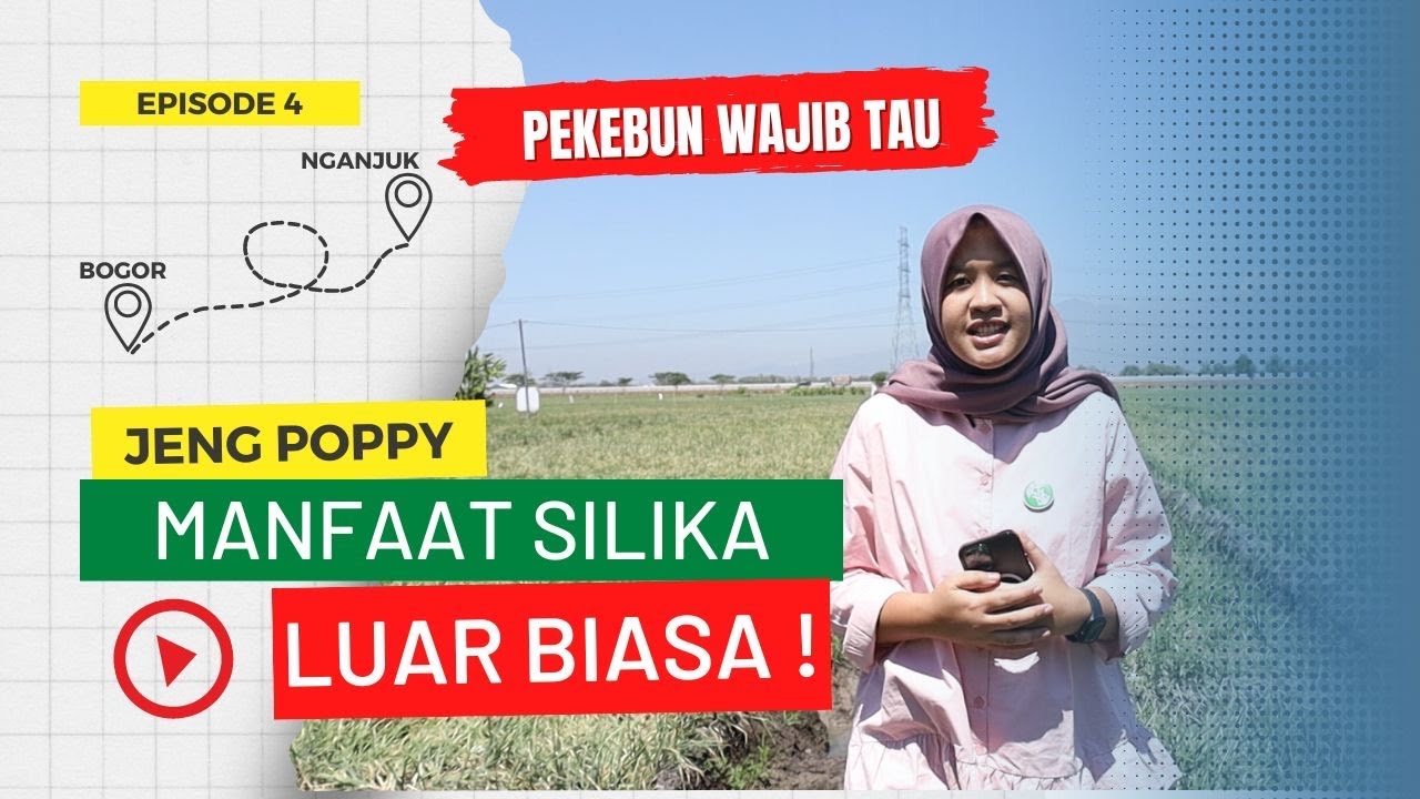 LUAR BIASA! Manfaat &ldquo;Silika&rdquo; untuk Tanaman