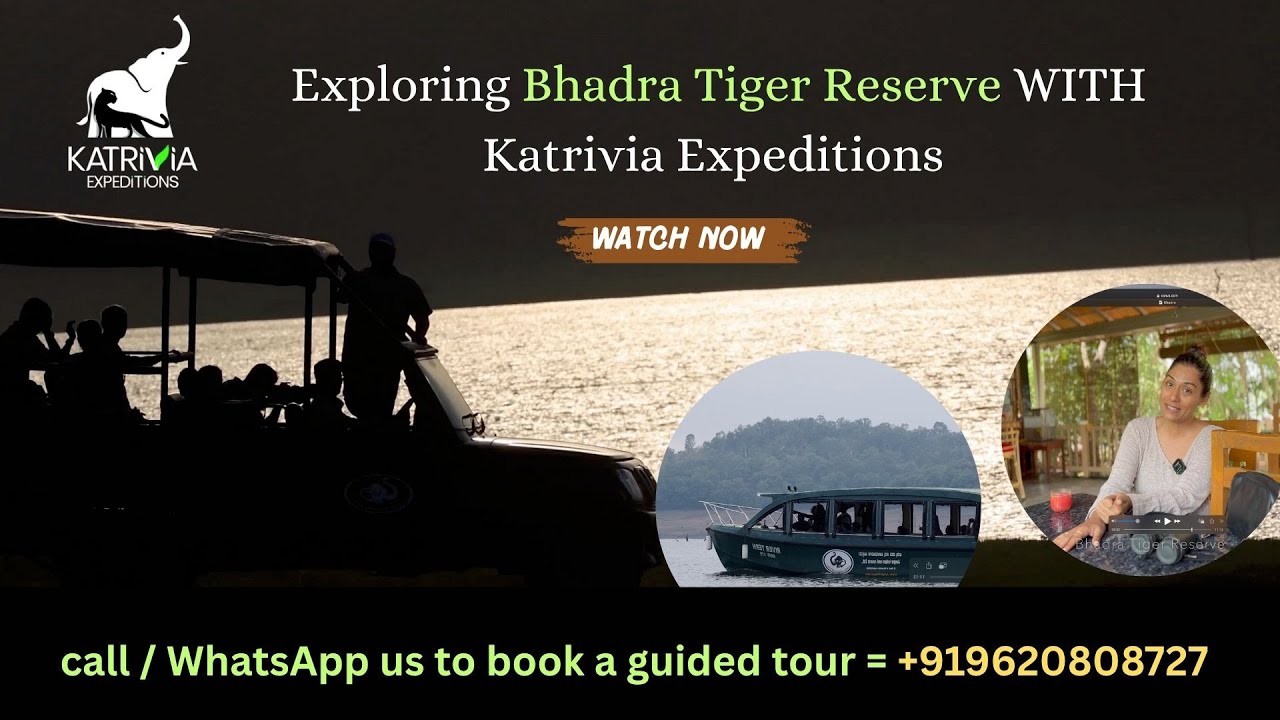 Bhadra Tiger Reserve – Leopard Sighting & Forest Vibes | Guided Tour Vlog | Katrivia Expeditions