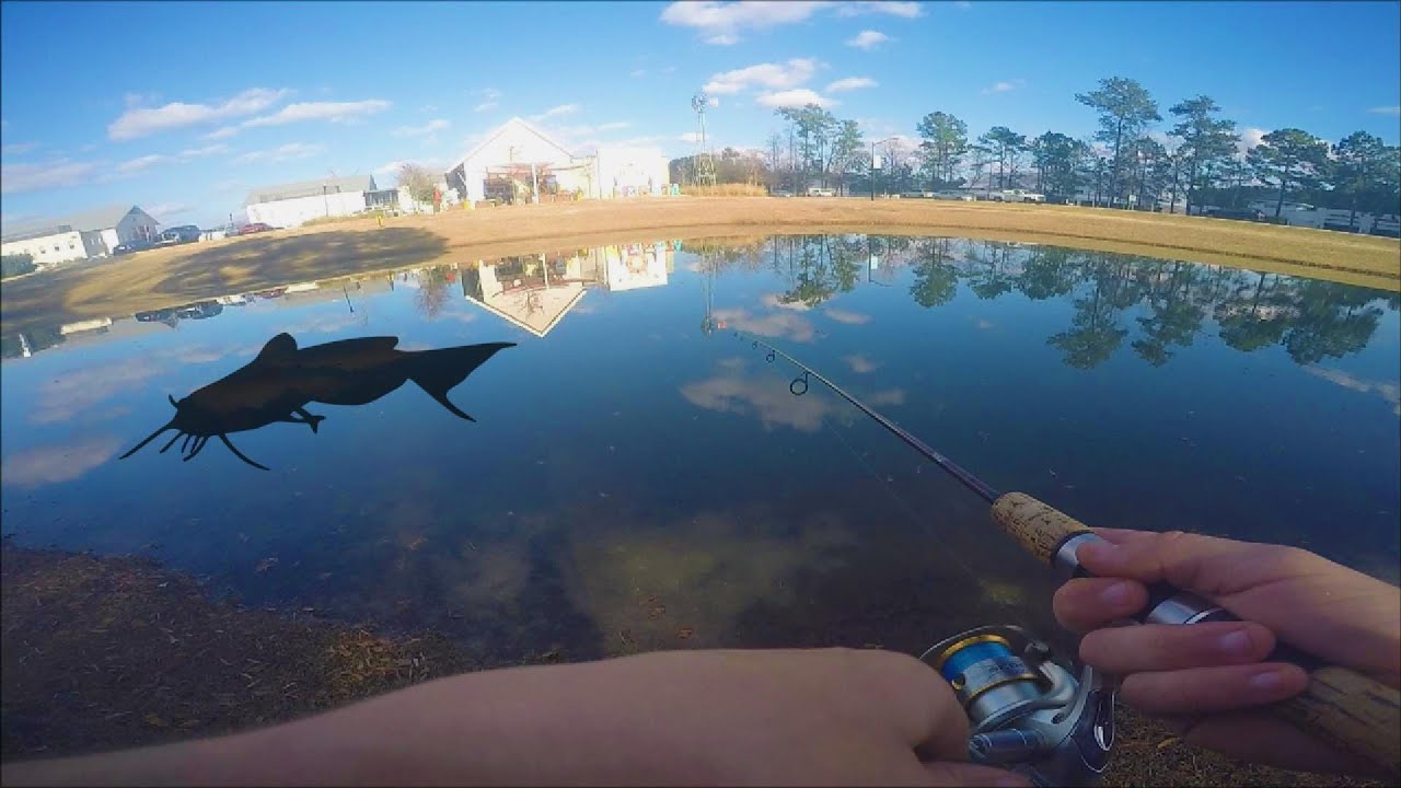 Ultralight Urban Fishing Micro Swimbaits... Big Bite!
